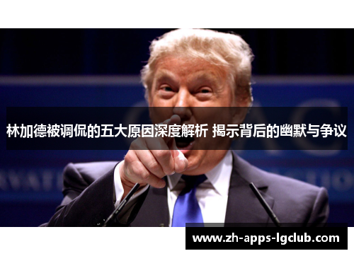 林加德被调侃的五大原因深度解析 揭示背后的幽默与争议