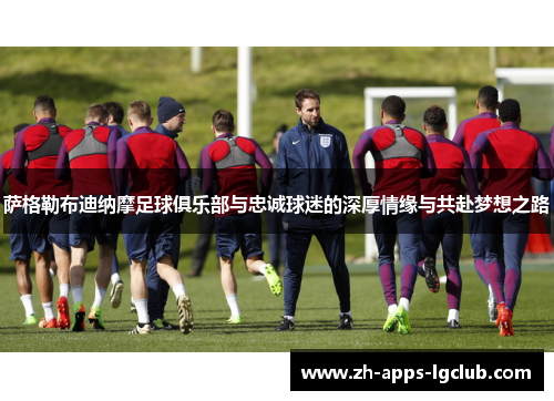 萨格勒布迪纳摩足球俱乐部与忠诚球迷的深厚情缘与共赴梦想之路