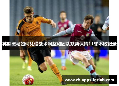 英超黑马如何凭借战术调整和团队默契保持11轮不败纪录 英超黑马如何凭借战术调整和团队默契保持11轮不败纪录
