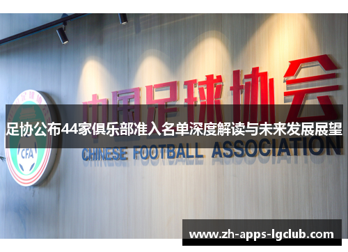 足协公布44家俱乐部准入名单深度解读与未来发展展望