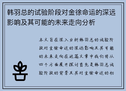 韩羽总的试验阶段对金徐命运的深远影响及其可能的未来走向分析