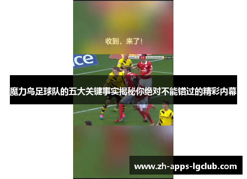 魔力鸟足球队的五大关键事实揭秘你绝对不能错过的精彩内幕 魔力鸟足球队的五大关键事实揭秘你绝对不能错过的精彩内幕